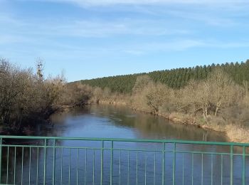 Tocht Elektrische fiets Rosières-aux-Salines - sortie vtt 21022023 rosière aux salines - Photo