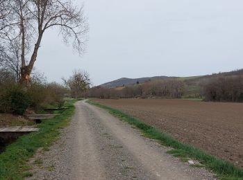 Tocht Stappen Pérignat-sur-Allier - LES HAUTS D'ALLIER - Photo