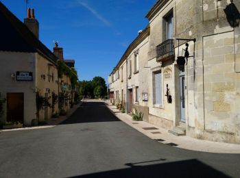 Randonnée Marche Villandry - Villandry - boucle bord du Cher puis GR3 - 4.9km 60m 1h15 - 2015 05 24 - Photo