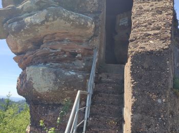 Randonnée Marche Celles-sur-Plaine - Tête du coquin  - Photo