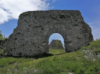 Tour Zu Fuß Sassinoro - IT-176 - Photo