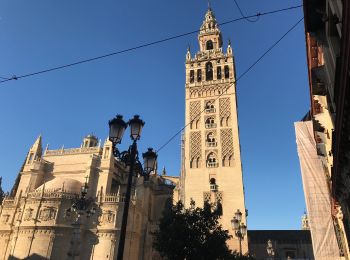 Tocht Stappen Sevilla - 20181231 Séville  - Photo