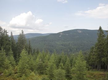 Tour Zu Fuß Rochlitz an der Iser - CZ-4286 - Photo