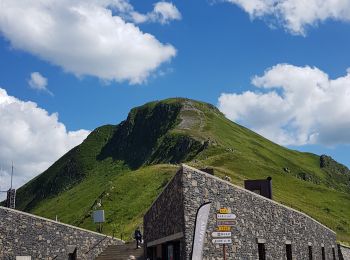 Randonnée Marche Mandailles-Saint-Julien - Le Fournal au Pas De Peyrol - Photo