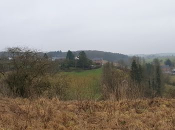 Tour Wandern Froidchapelle - Balade à Froidchapelle - Photo