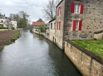 Tour Wandern Les Riceys - Ricey bois, cadoles et vignes 13 km - Photo