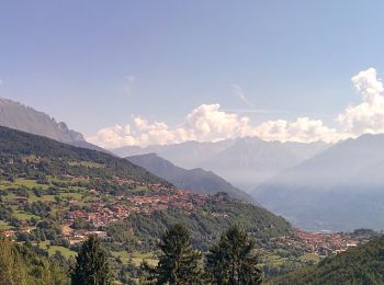 Tocht Te voet Borno - Sentiero dei ruscelli canterini - Photo