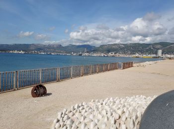 Excursión Bici de carretera Hyères - Hyères J2 P5 - Photo