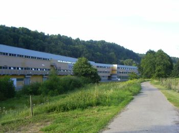 Randonnée A pied Maßweiler - Maßweilerer Keltenpfad - Photo