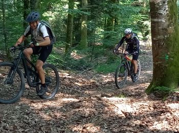 Percorso Bicicletta elettrica Badonviller - randonnée pierre percée 04062023 35km - Photo