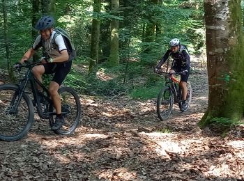 Excursión Bici eléctrica Badonviller - randonnée pierre percée 04062023 35km - Photo