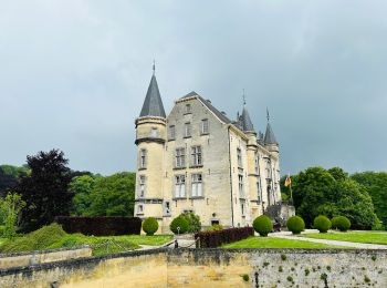 Randonnée Marche Valkenburg aan de Geul - La vallée de la Geul (Gueule) à Valkenburg - Photo