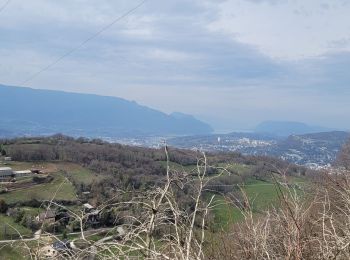 Randonnée Marche Barberaz - 180323 haut de la COCHE - Photo