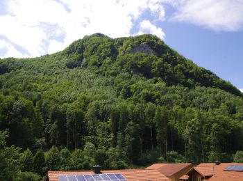 Percorso A piedi Flintsbach am Inn - Wanderweg FL2 - Flintsbach - Photo