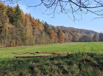 Tour Zu Fuß Zernow - NS Jakuba Míly - Photo