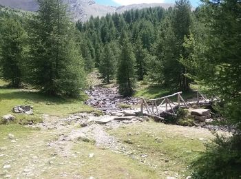 Percorso Marcia Les Orres - les orres 1800 . lac sainte marguerite / montée par le sentier et retour par la piste - Photo