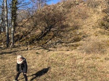 Randonnée Marche Pfaffenheim - Hundsplan château du schrankelfetz  - Photo