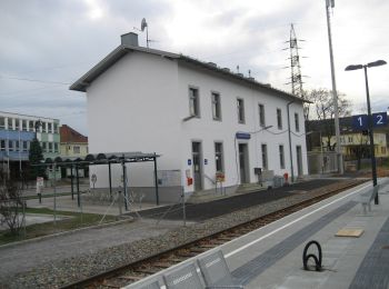 Tour Zu Fuß Leobersdorf - Elektro Wöhrer Runde 