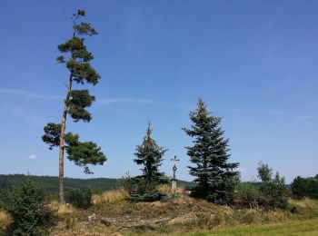 Tocht Te voet Gemeinde Moorbad Harbach - Erlebnisweg Heinrichs - Photo