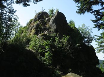 Percorso A piedi Hornberg - Hornberg - Bäracker - Photo