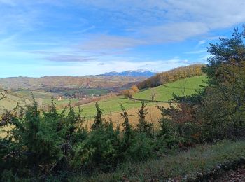 Tocht Stappen Chasselay - La table d'orientation à Chasselay marche - Photo