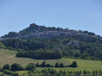 Randonnée A pied Bertinoro - La Via delle Acque - Photo