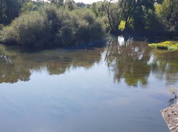 Trail Mountain bike Saint-Clément - sortie vtt du 13092020 - Photo