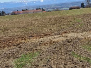 Tour Wandern Domarin - DOMARIN 15 01 2021 - Photo