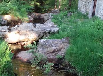 Randonnée Marche Pérols-sur-Vézère - perol sur vézére  - Photo