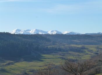 Randonnée Marche Montaigut-le-Blanc - puy de gourdon - Photo