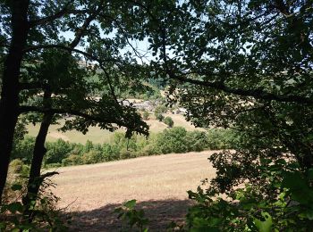 Tour Wandern Laval-Roquecezière - Boucle de Combret depuis ND d'Orient - Photo