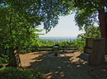 Trail On foot Unknown - Themenweg Kult(ur)wald - Photo