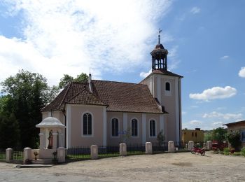 Percorso A piedi  - Szlak Opaleński - Photo