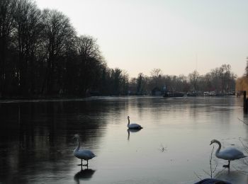 Percorso A piedi Königs Wusterhausen - Rundweg Krüpelsee - Photo