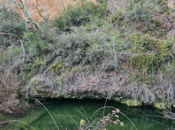 Tour Wandern La Bastidonne - la Bastidonne secrets - Photo