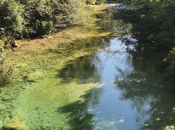 Randonnée Marche Saint-Cézaire-sur-Siagne - si cezaire sur siagne - Photo