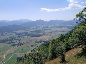 Trail Walking La Chapelle-en-Vercors - serre plumé depuis carri par la bournette col de la baume grange de vauneyre col de la mure puis les cretes jusqu a pré bellet refuge de crobache lievre blanc scialet royer - Photo