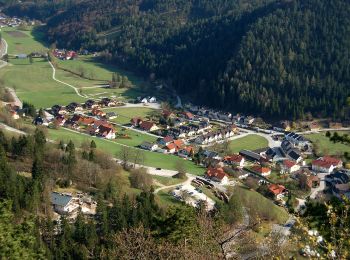 Tour Zu Fuß Gemeinde Muggendorf - Myrafälle - Karnerwirt - Hausstein - Wildgehege - Myrafälle - Photo