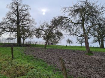 Percorso Marcia Soignies - Tour chapelle des Cerisiers - Photo