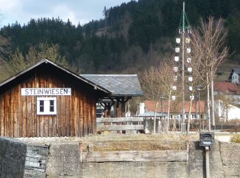 Percorso A piedi Wallenfels - Silberberg-Weg RT 11 - Photo