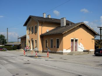 Tocht Te voet Gemeinde Kirchstetten - Wanderweg Kirchstetten(Bf) - Hinterholz -Kasten - Photo