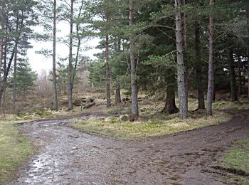 Percorso A piedi  - Blackhall Loop Trail - Photo