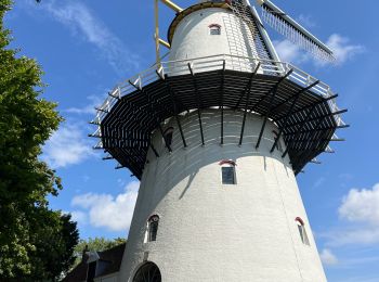 Trail Walking Middelburg - Middelburg en Zelande - Photo