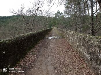 Tour Wandern Saint-Paul-le-Jeune - 07 les passages de voûtes au pont Doulovy 2 /02/25 - Photo