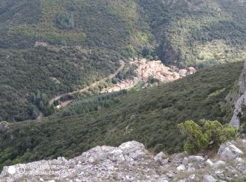 Trail On foot Pradelles-Cabardès - Pradelles,roc de l'aigle,cabrespine,pradelles - Photo