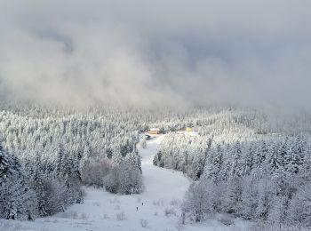 Excursión Esquí de fondo Sarcenas - 151224 Vers Chamechaude - Photo