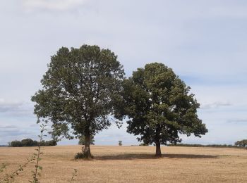 Tocht Stappen Verviers - Stembert . les Roudoudous . Stembert - Photo