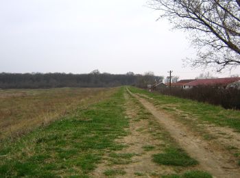 Trail On foot Arad - RO-Patrat Rosu - Photo