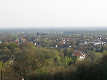 Trail On foot Halle (Westf.) - Weg für Genießer - Halle-Borgholzhausen - Photo