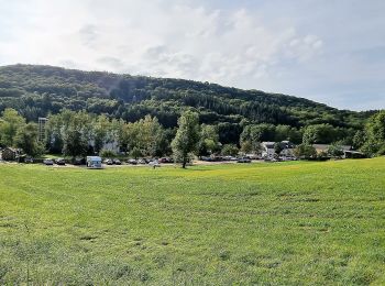 Percorso A piedi Waldbillig - W2 Hiking Tour - Photo